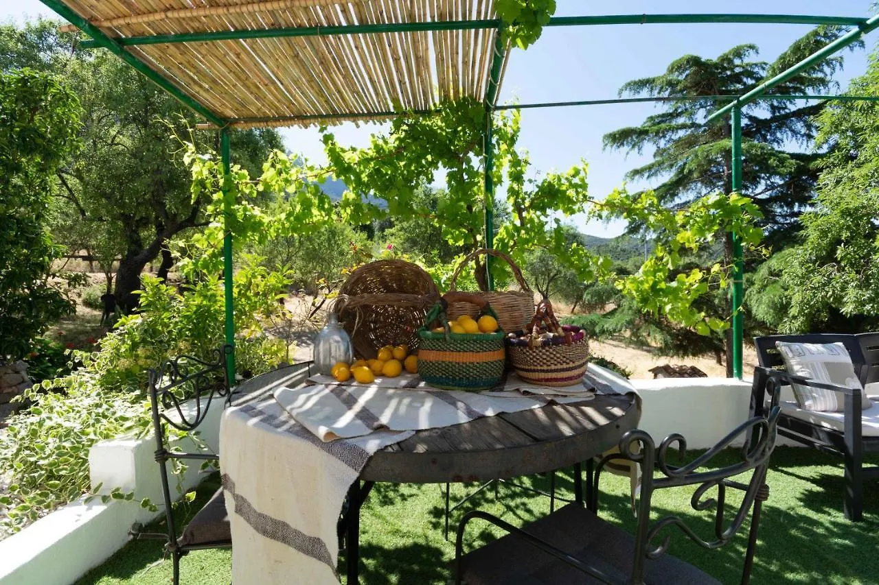 Villa Ferulas Oliena Casa vacanze