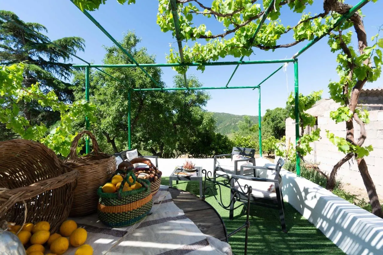 Casa vacanze Villa Ferulas Oliena