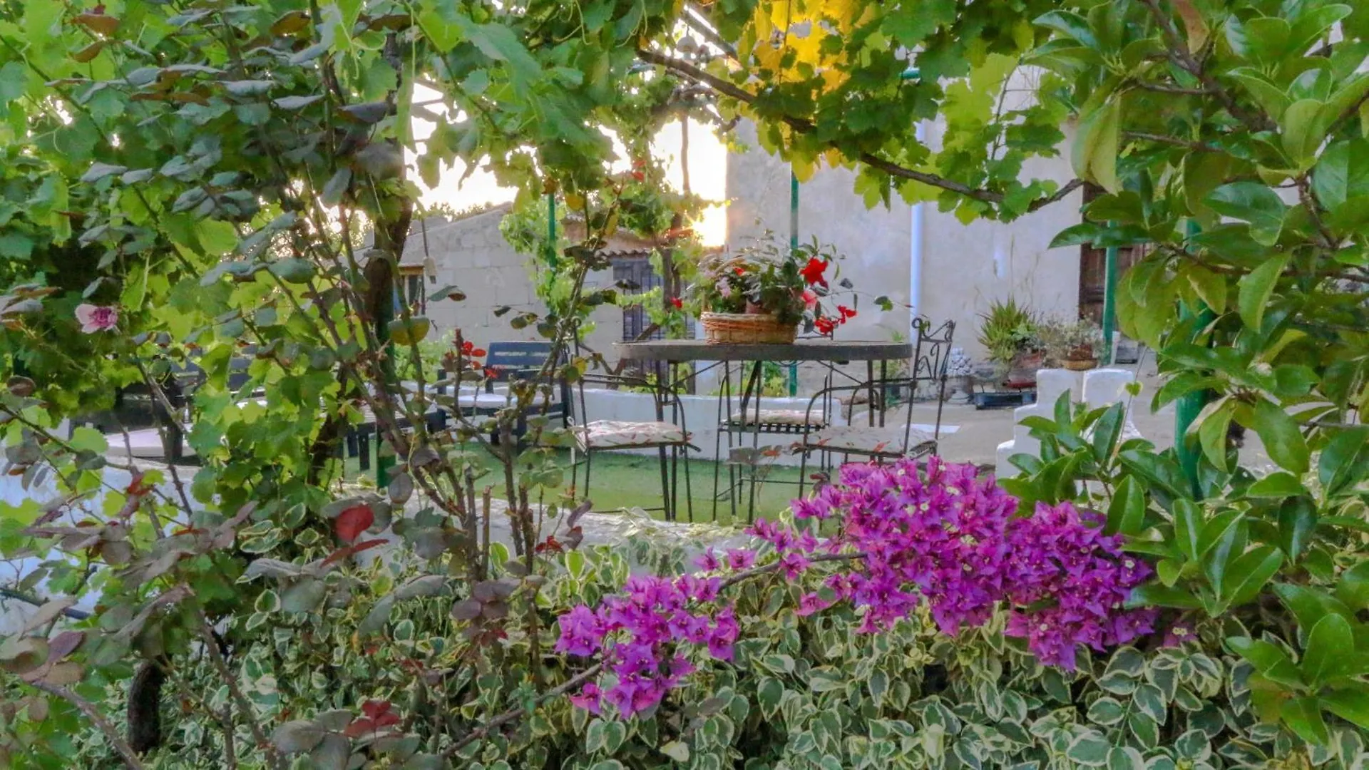 Villa Ferulas Oliena Italia